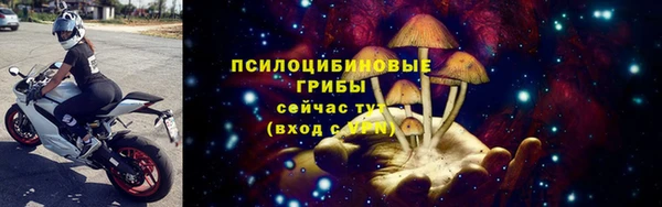 мдпв Арсеньев