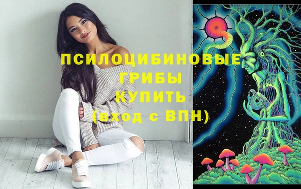 винт Армянск