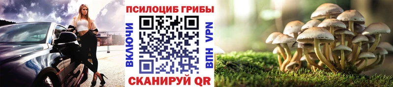 Псилоцибиновые грибы Psilocybine cubensis гидра ТОР Якутск где найти